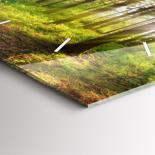 Square wall clock Forest sunrise