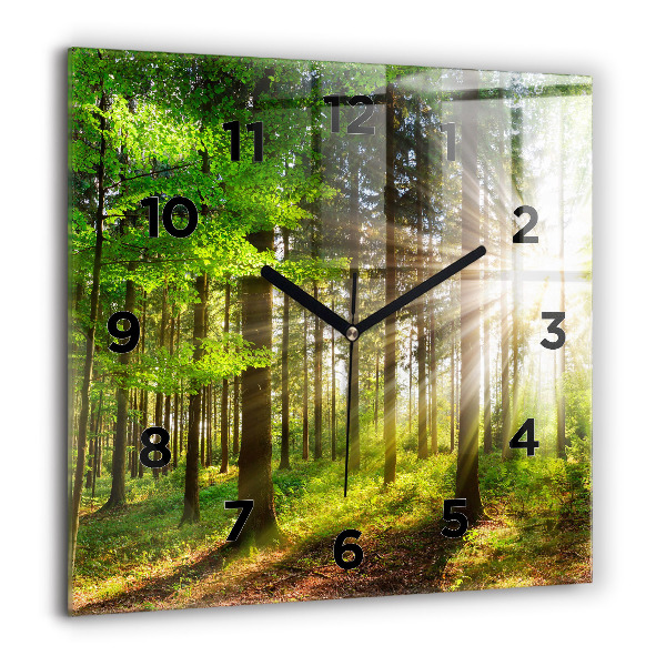 Square wall clock Forest sunrise