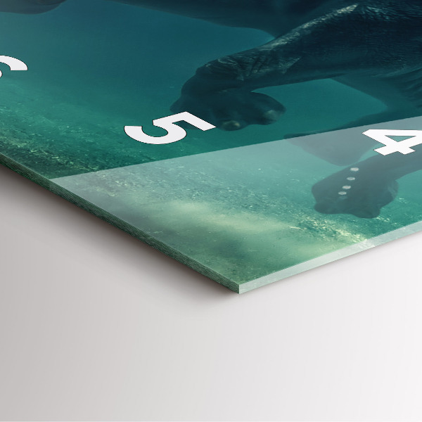 Square wall clock Swimming elephant in the ocean