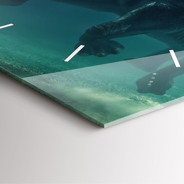 Square wall clock Swimming elephant in the ocean