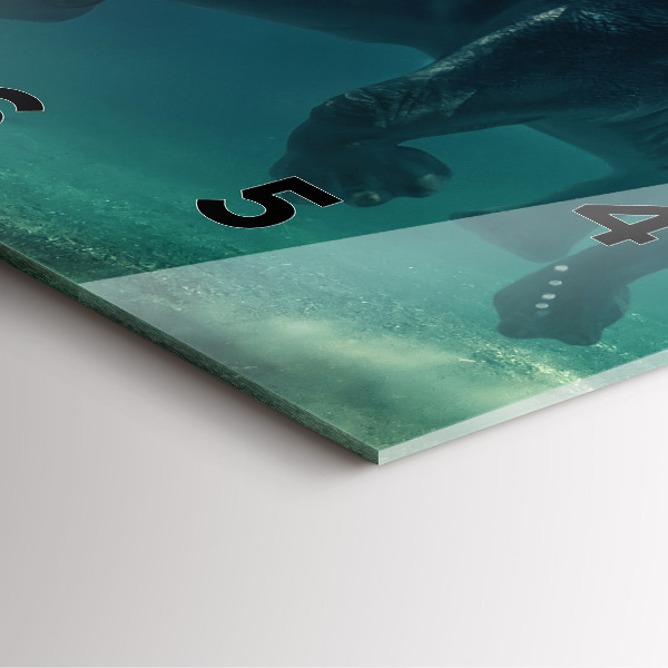 Square wall clock Swimming elephant in the ocean