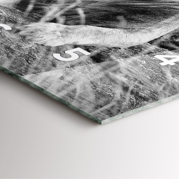 Square wall clock Abstraction - Lion