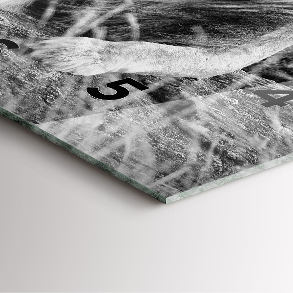 Square wall clock Abstraction - Lion