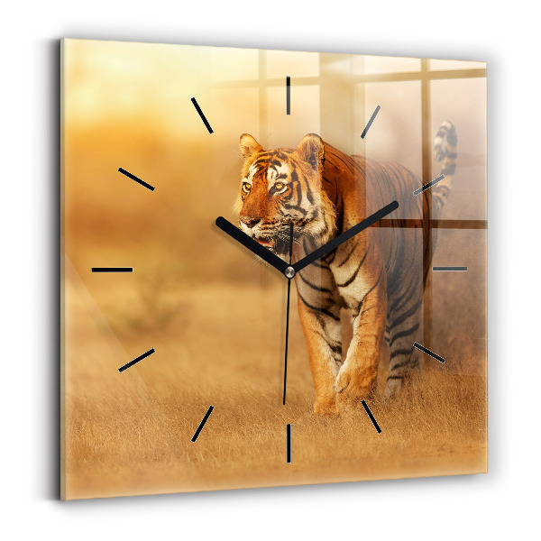 Square wall clock Hunting Tiger