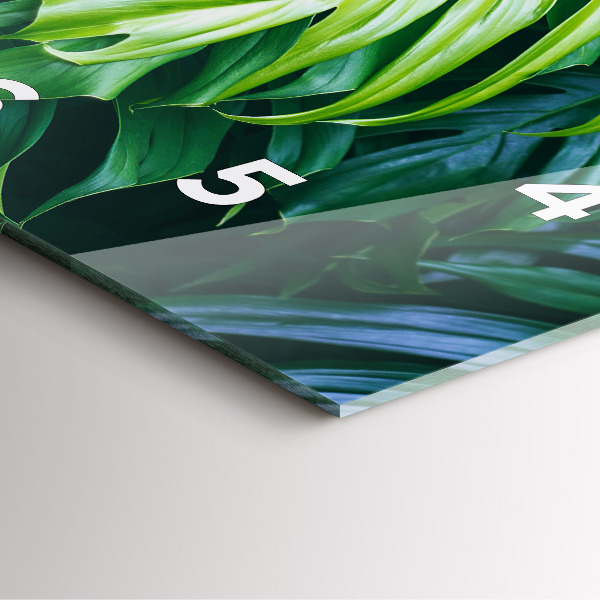 Square wall clock The Tropical Side of Nature