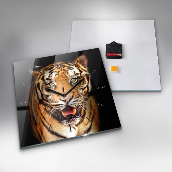 Square wall clock Tiger - wild look