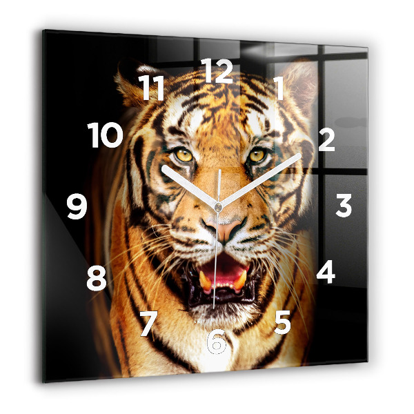 Square wall clock Tiger - wild look
