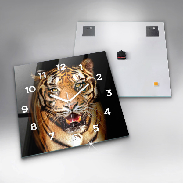 Square wall clock Tiger - wild look