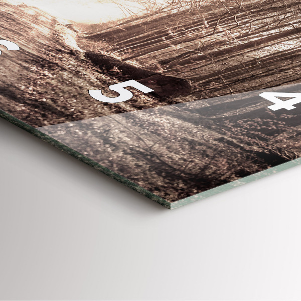 Square wall clock Forest path in sepia