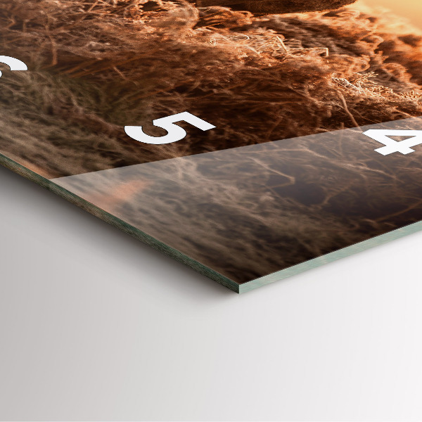 Square wall clock Deer at sunrise