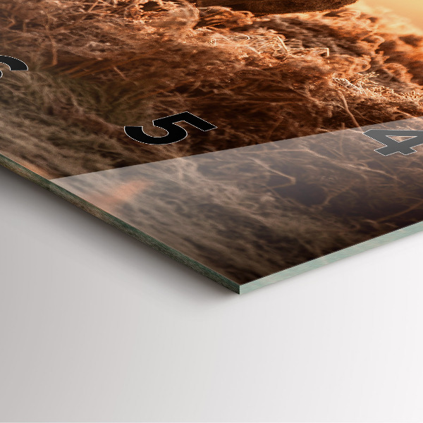 Square wall clock Deer at sunrise