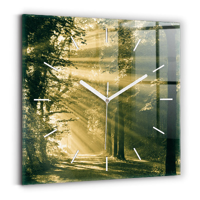 Square wall clock Sun Rays Forest