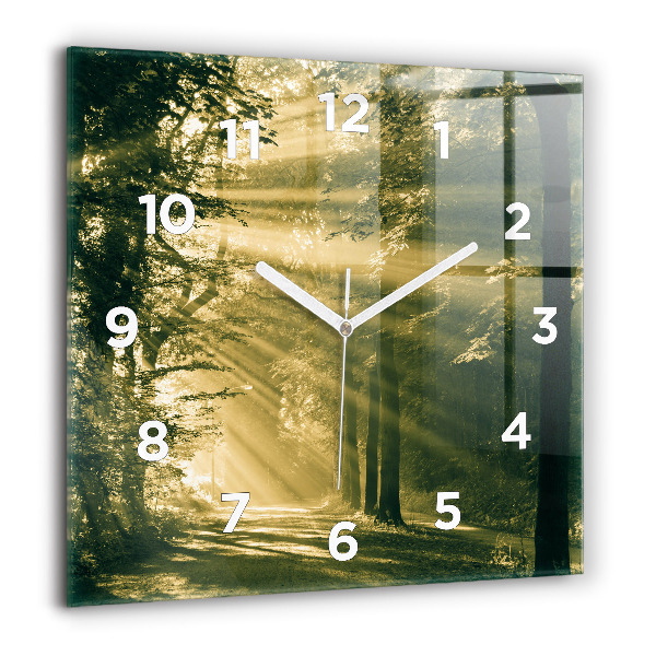 Square wall clock Sun Rays Forest