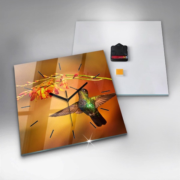 Square wall clock Hummingbird bird