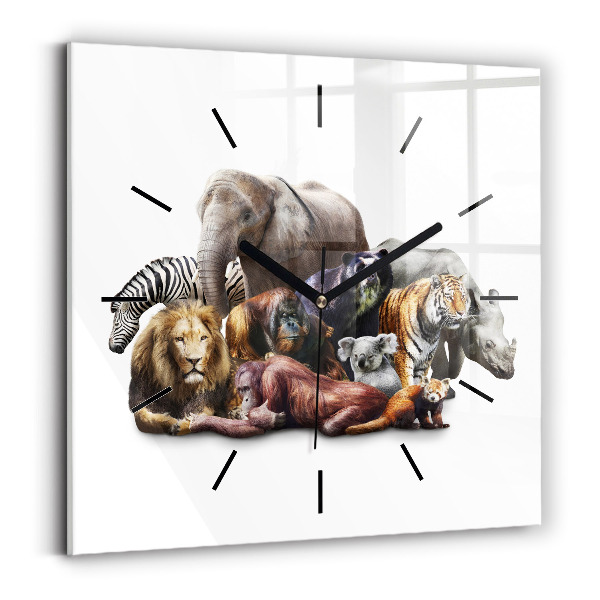 Square wall clock Wild animals