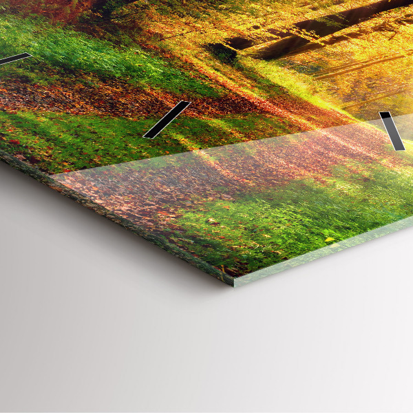 Square wall clock Autumn forest scenery