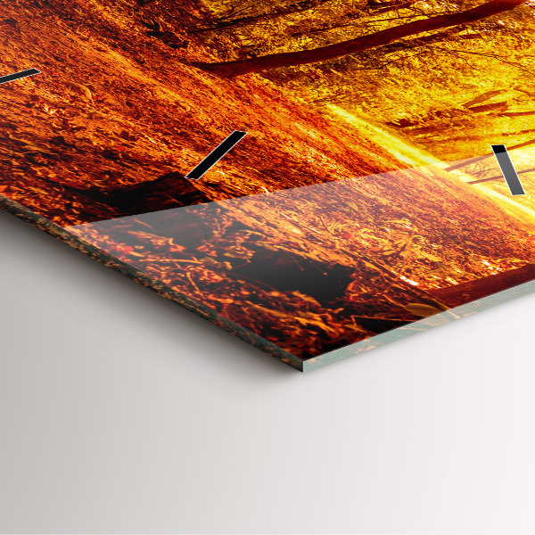 Square wall clock Forest landscape in the sun