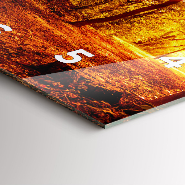 Square wall clock Forest landscape in the sun