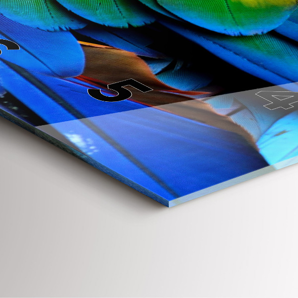 Square wall clock Colorful bird wings