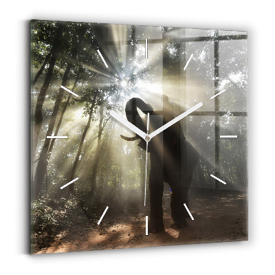 Square wall clock Elephant in the jungle