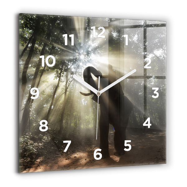 Square wall clock Elephant in the jungle