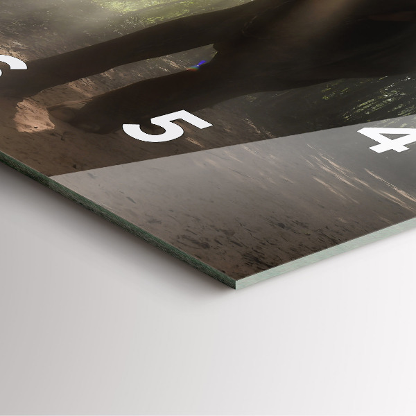 Square wall clock Elephant in the jungle