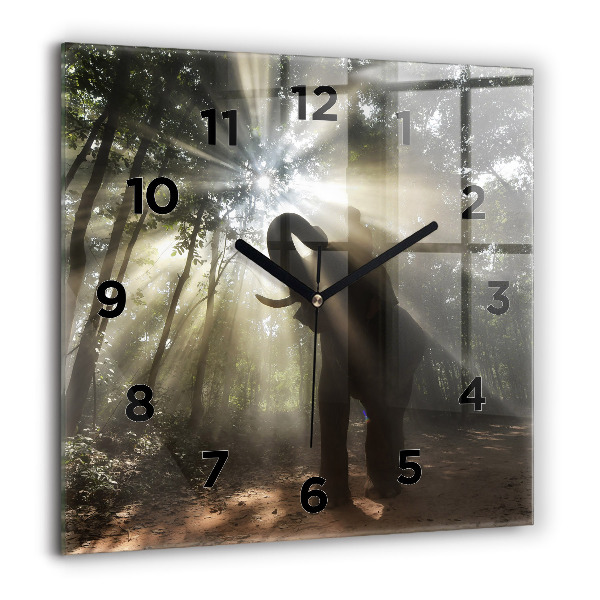 Square wall clock Elephant in the jungle