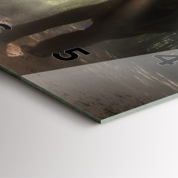 Square wall clock Elephant in the jungle