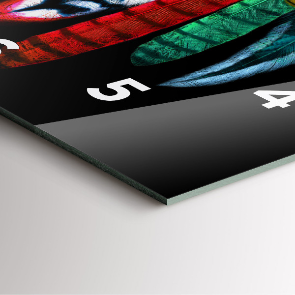 Square wall clock Colorful bird feathers