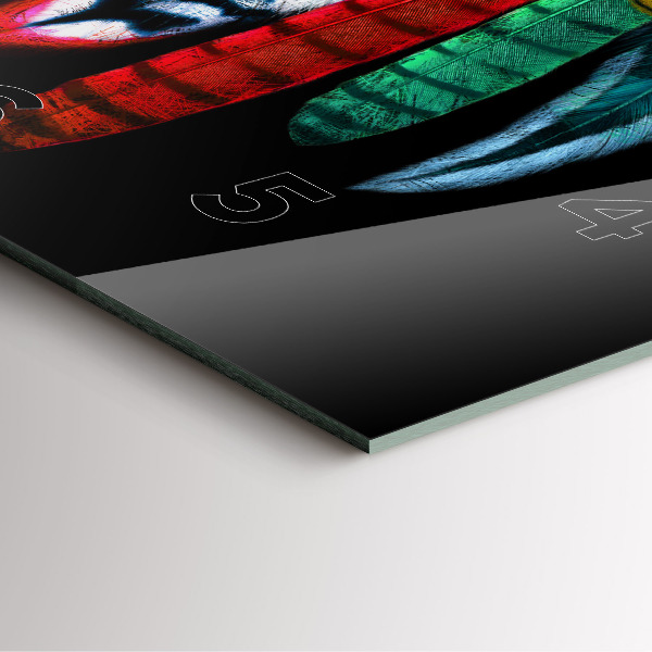 Square wall clock Colorful bird feathers