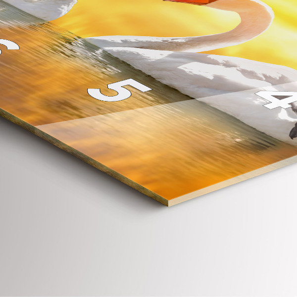 Square wall clock Swans in Love