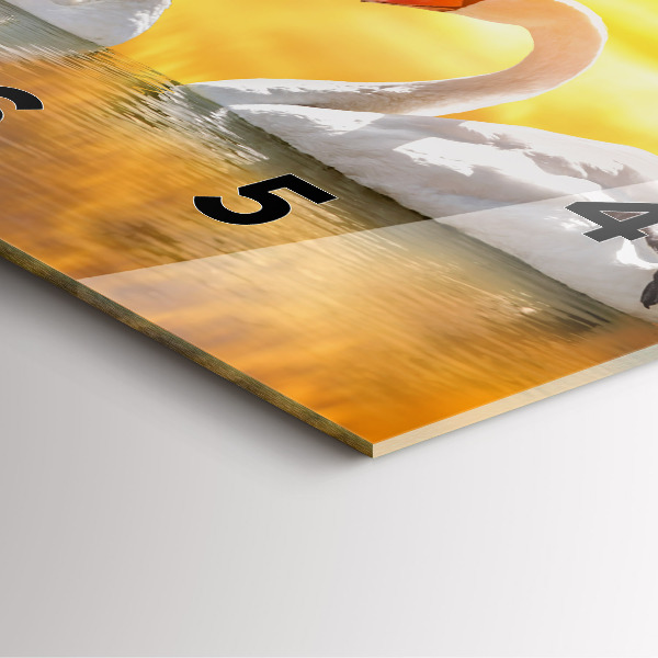 Square wall clock Swans in Love