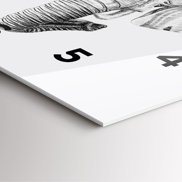 Square wall clock Graphic elephant head