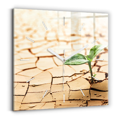 Square wall clock Plant in dry soil