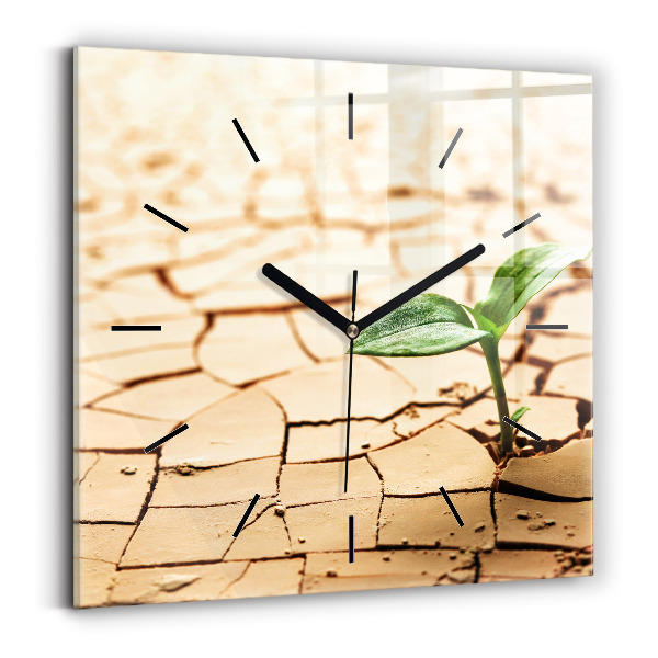 Square wall clock Plant in dry soil