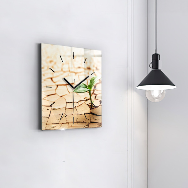 Square wall clock Plant in dry soil
