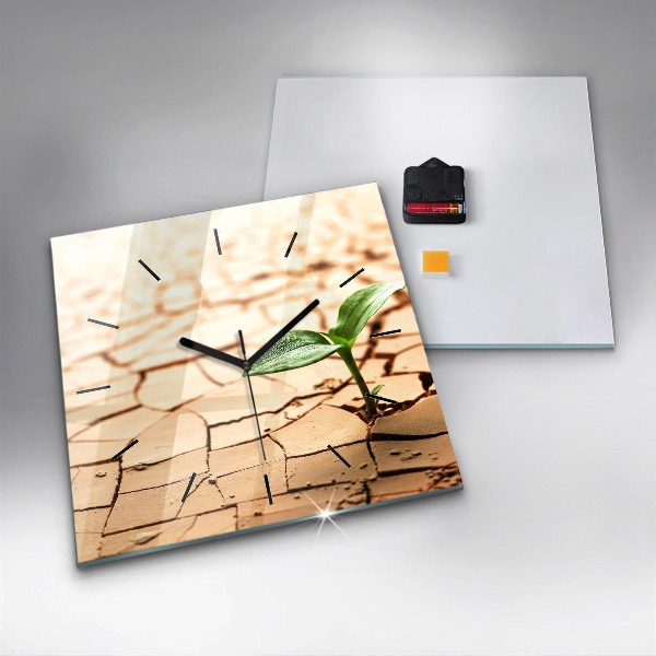 Square wall clock Plant in dry soil