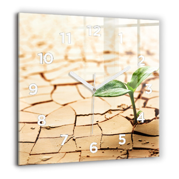Square wall clock Plant in dry soil