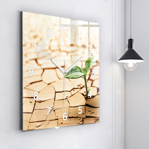 Square wall clock Plant in dry soil