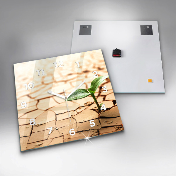 Square wall clock Plant in dry soil