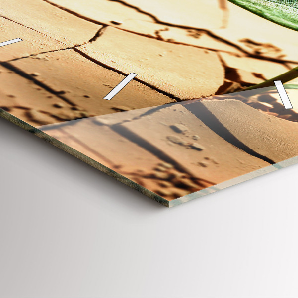 Square wall clock Plant in dry soil