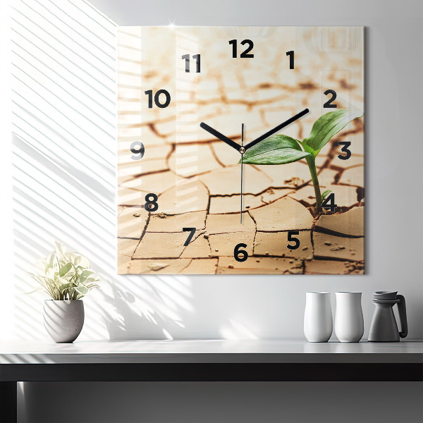 Square wall clock Plant in dry soil