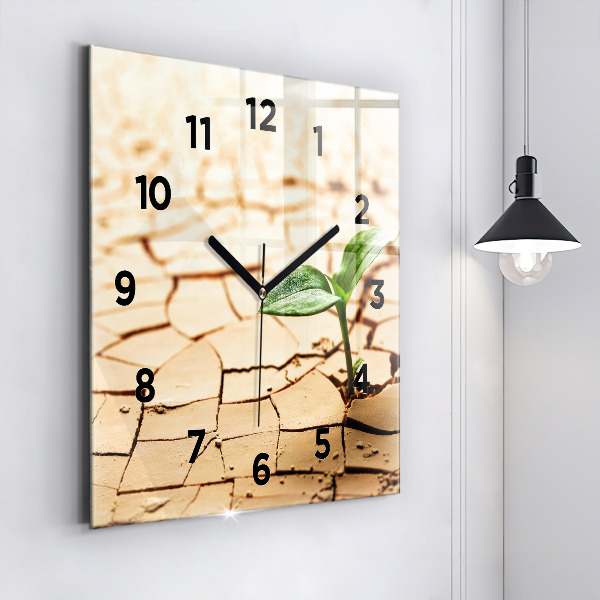 Square wall clock Plant in dry soil