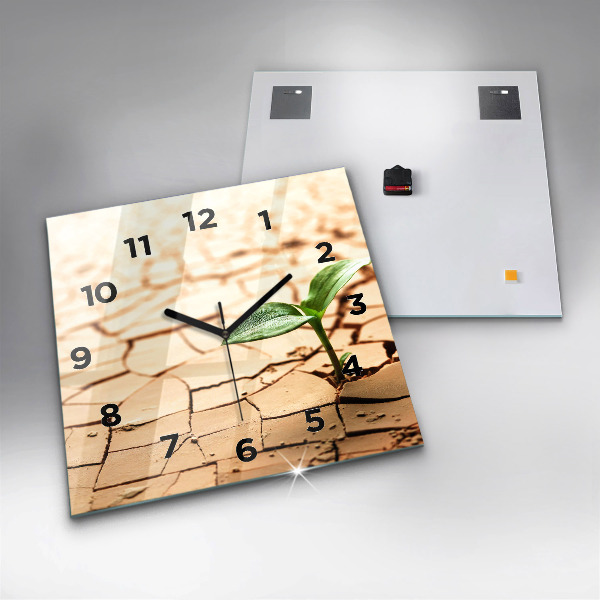 Square wall clock Plant in dry soil