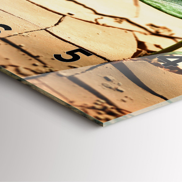 Square wall clock Plant in dry soil