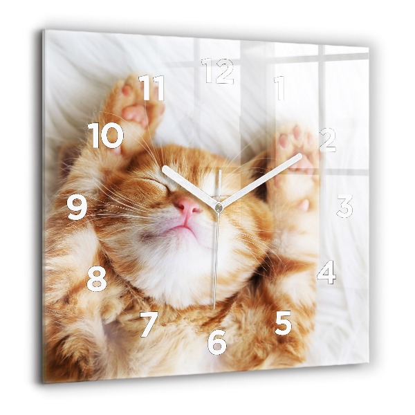 Square wall clock Sleeping little kitten