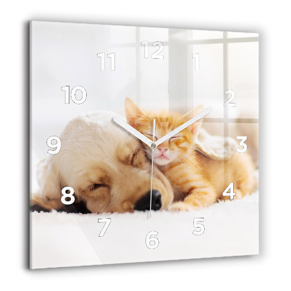 Square wall clock Sleeping cat and dog