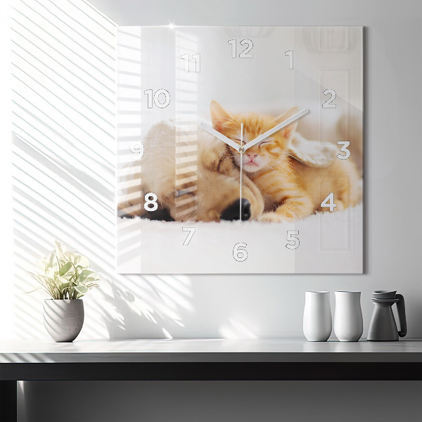 Square wall clock Sleeping cat and dog