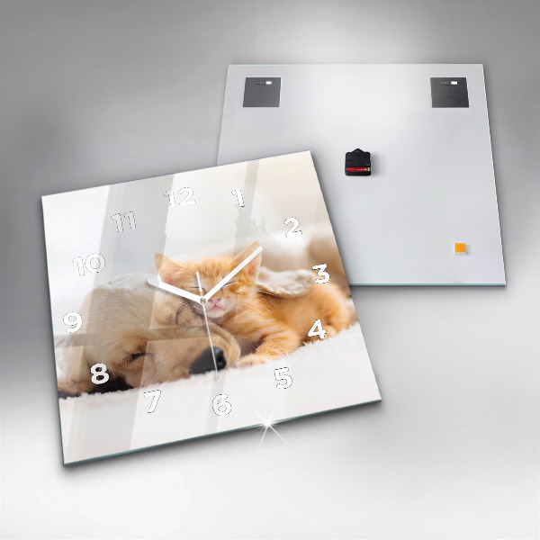 Square wall clock Sleeping cat and dog