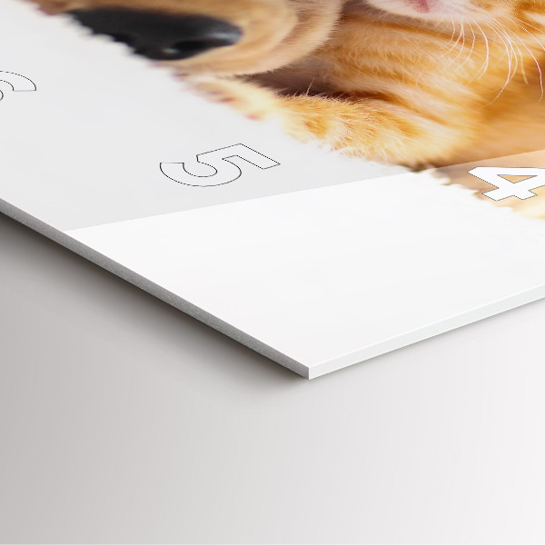 Square wall clock Sleeping cat and dog